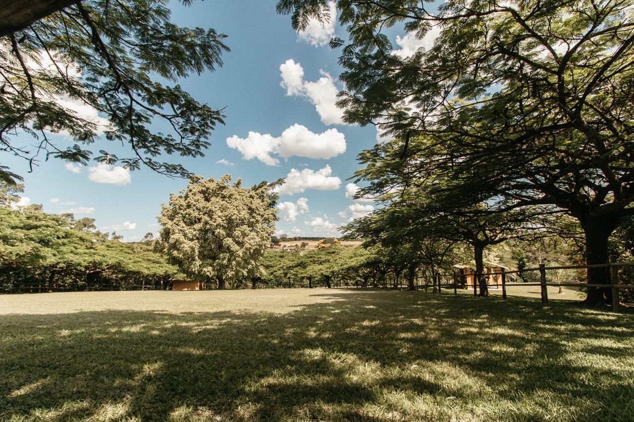 A tranquil countryside landscape with trees casting shadows on a grassy field under a bright blue sky.