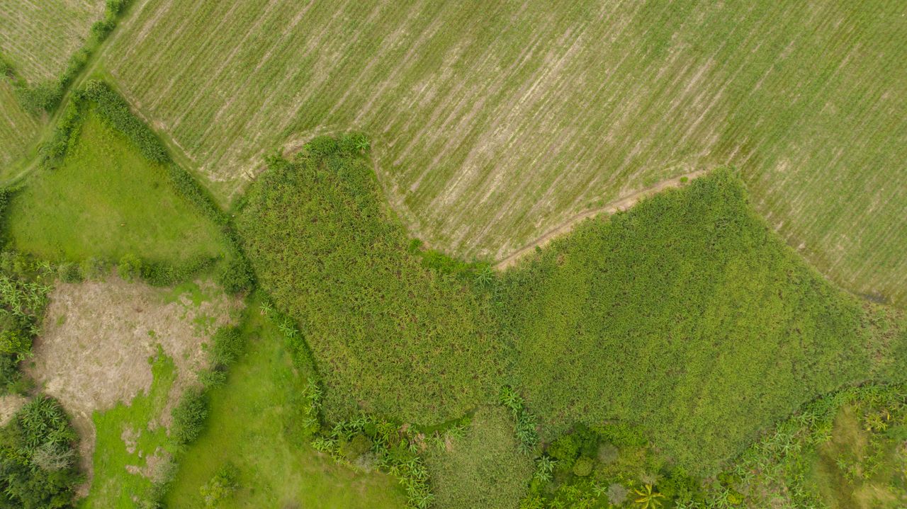 Stunning aerial view of green agricultural fields with unique patterns.