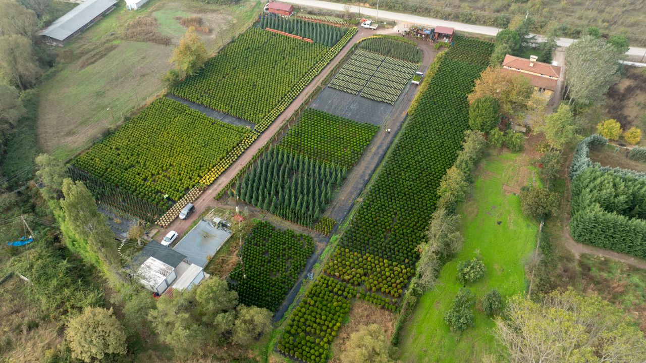 Aerial photo showcasing expansive, colorful fields and farmland in Yalova, Türkiye.